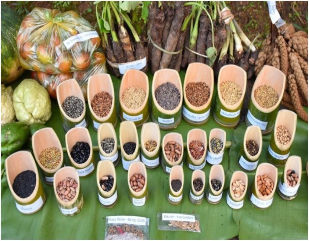 BIS Issues New Standard for Community Seed Banks to Promote Conservation of Indigenous Crop Varieties